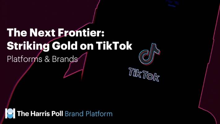 TikTok Platforms and Brands Report