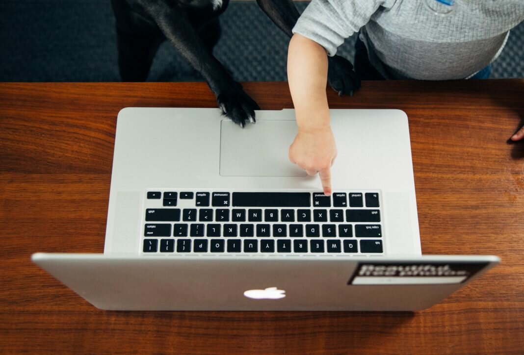 dog and child on laptop