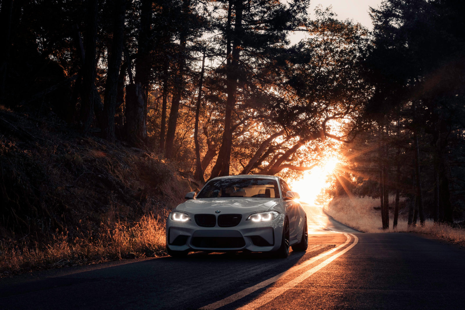 BMW driving at sunset