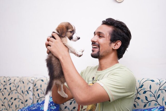 Person holding puppy