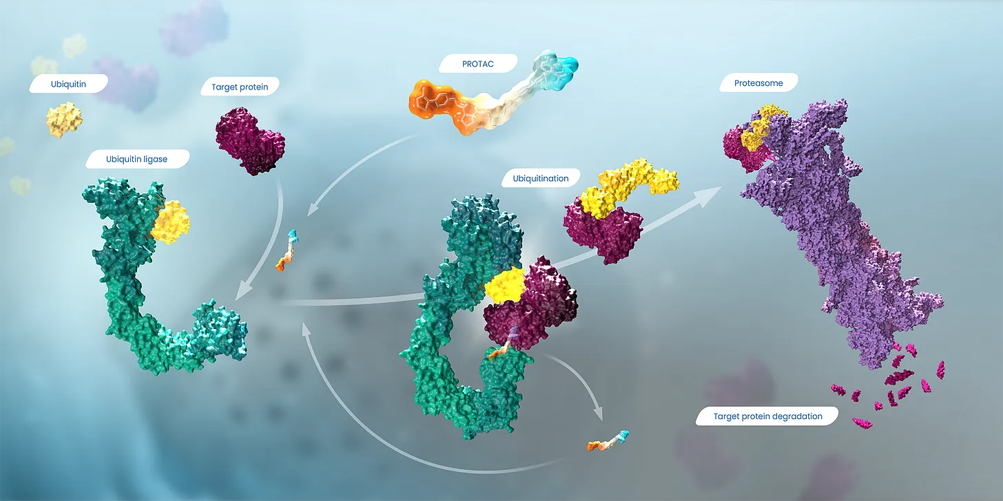 Molecules connected together