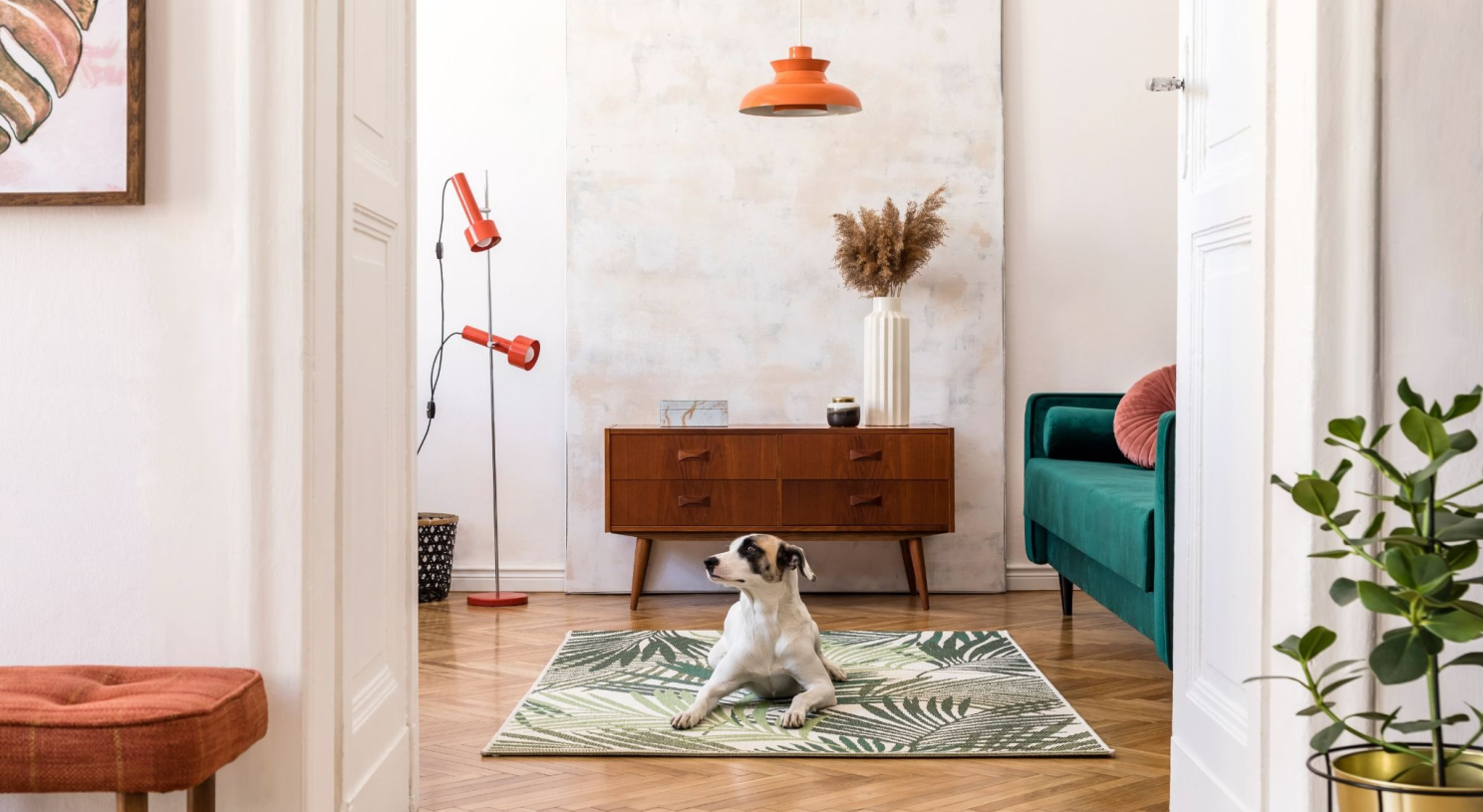 Dog sitting on a rug in a living room
